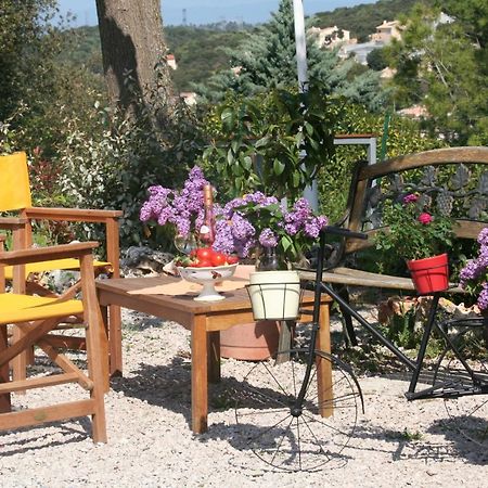 La Bergerie Provencale Hotell Ginasservis Exteriör bild